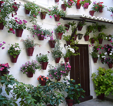 LOS PATIOS Cordoba Turismo Rural Sur el Torcal Los Patios