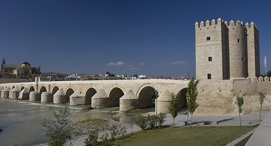 PUENTE ROMANO Y TORRE DE LA CALAHORRA